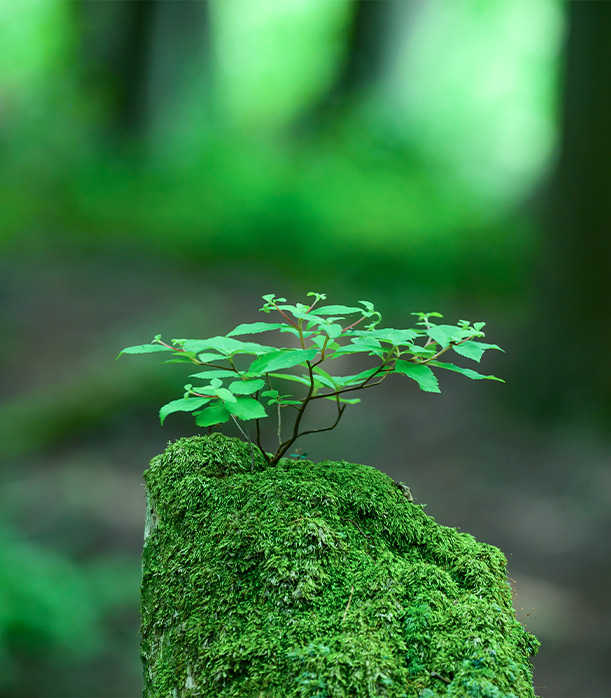 社會(huì)責(zé)任 社會(huì)責(zé)任